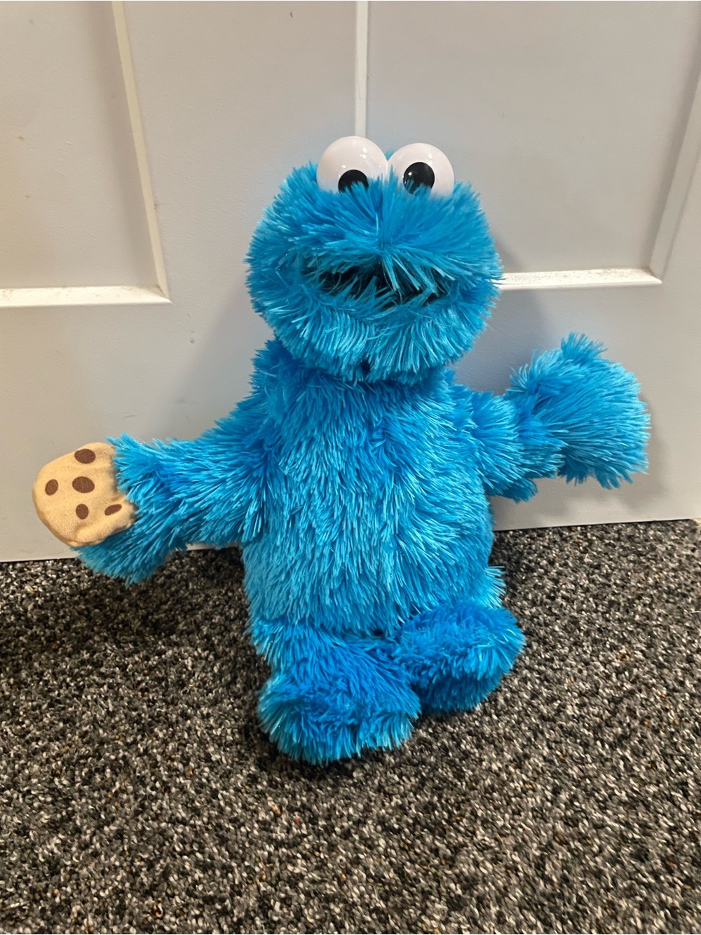 Cookie Monster Plush